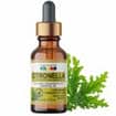 Citronella Essential Oil