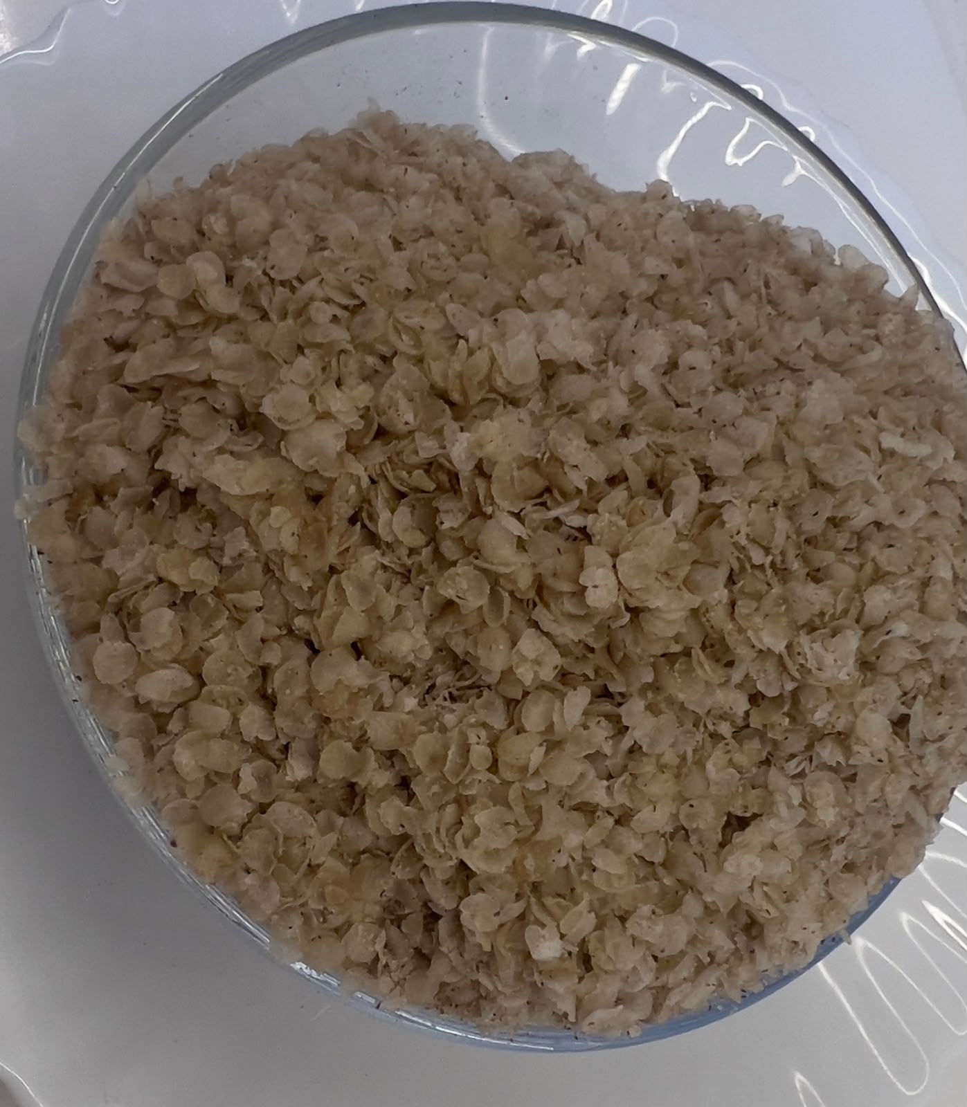 FABLY KODO MILLET FABLY KODO MILLET