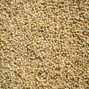 FABLY Barnyard Millet