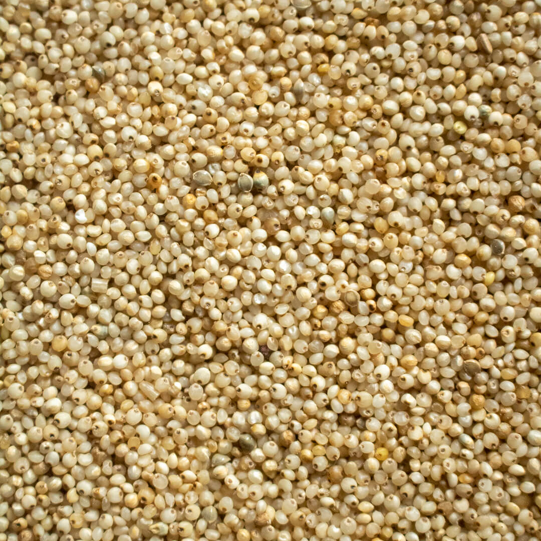 FABLY Barnyard Millet