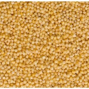 FABLY little millet