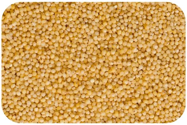 FABLY little millet