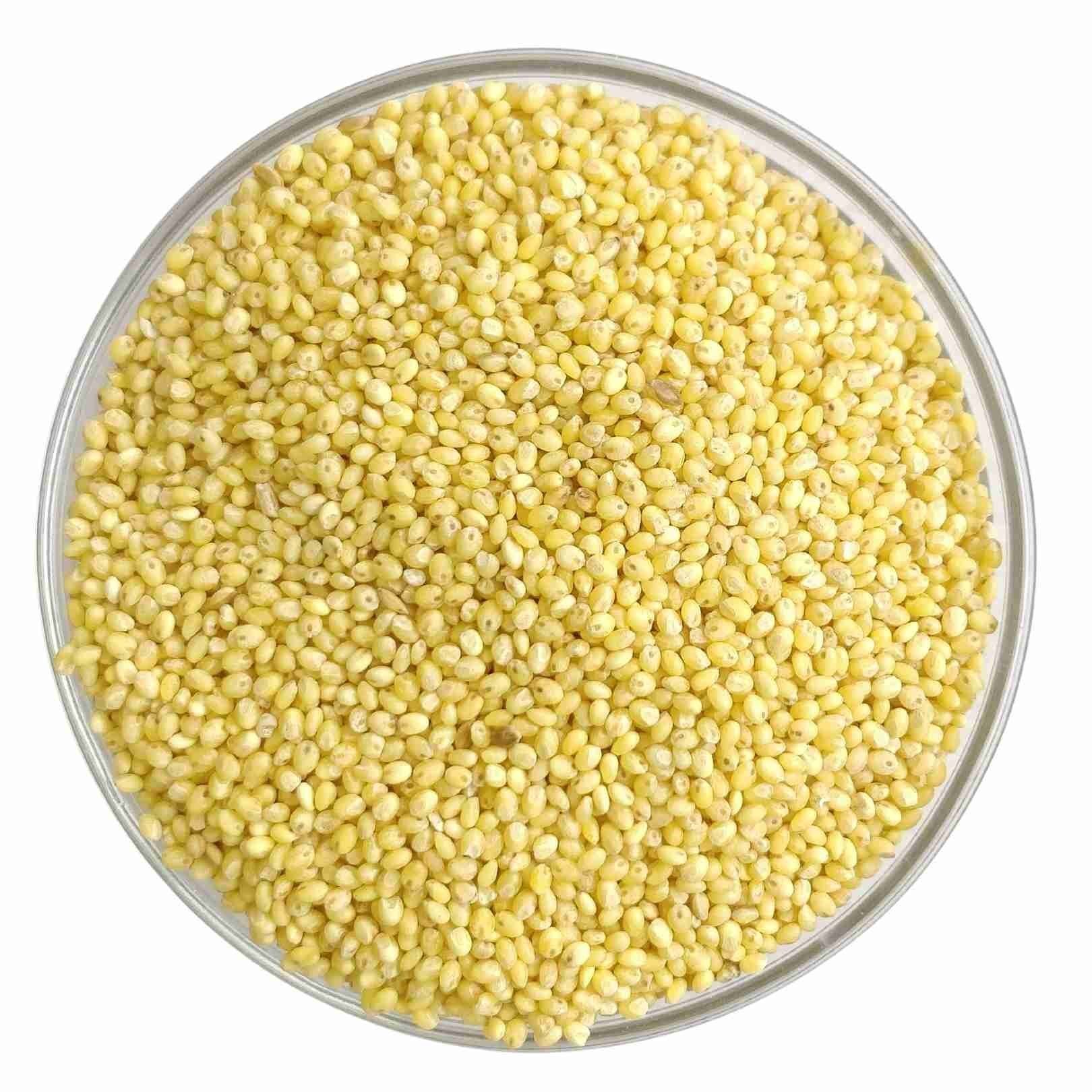 FABLY FABLY Proso Millet